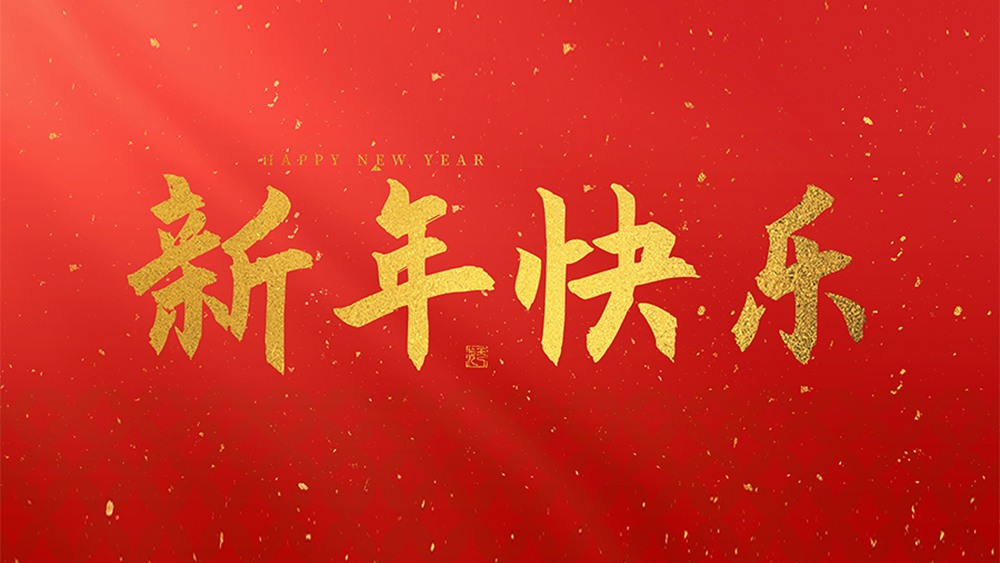 麗水市威儀自動(dòng)化技術(shù)有限公司祝全國(guó)人民2025新年快樂(lè)！